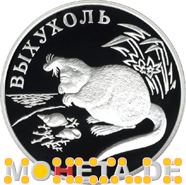 1 Rubel Moschusratte