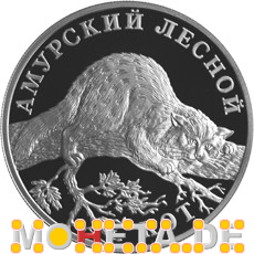 1 Rubel Amur Wildkatze