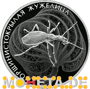 2 Rubel Carabus blaptoides rugipennis